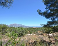 Reventa - Finca - Polop
