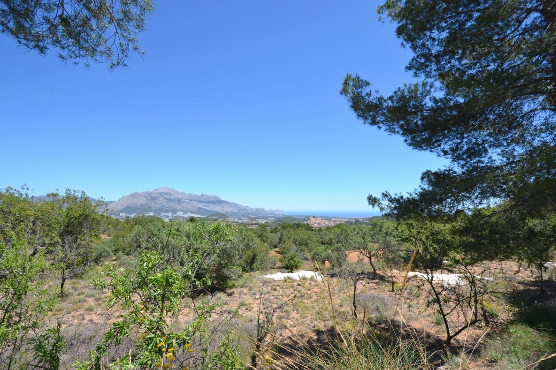 Reventa - Finca - Polop