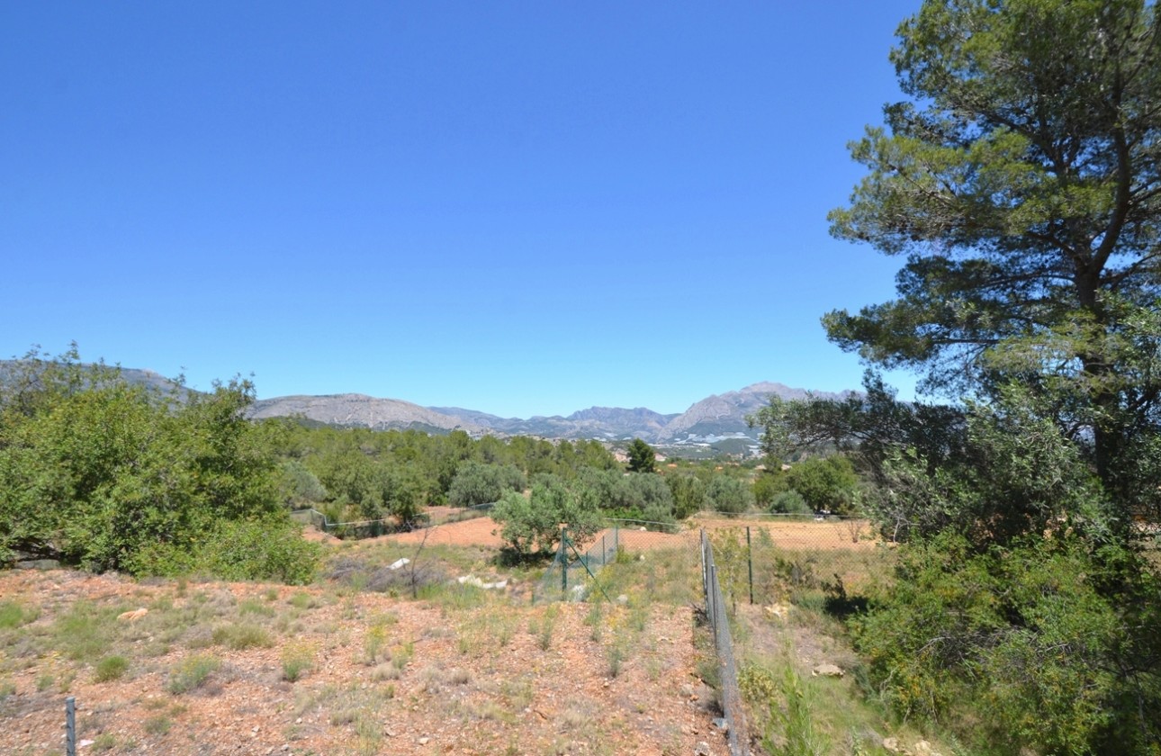 Reventa - Finca - Polop