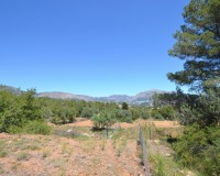 Reventa - Finca - Polop