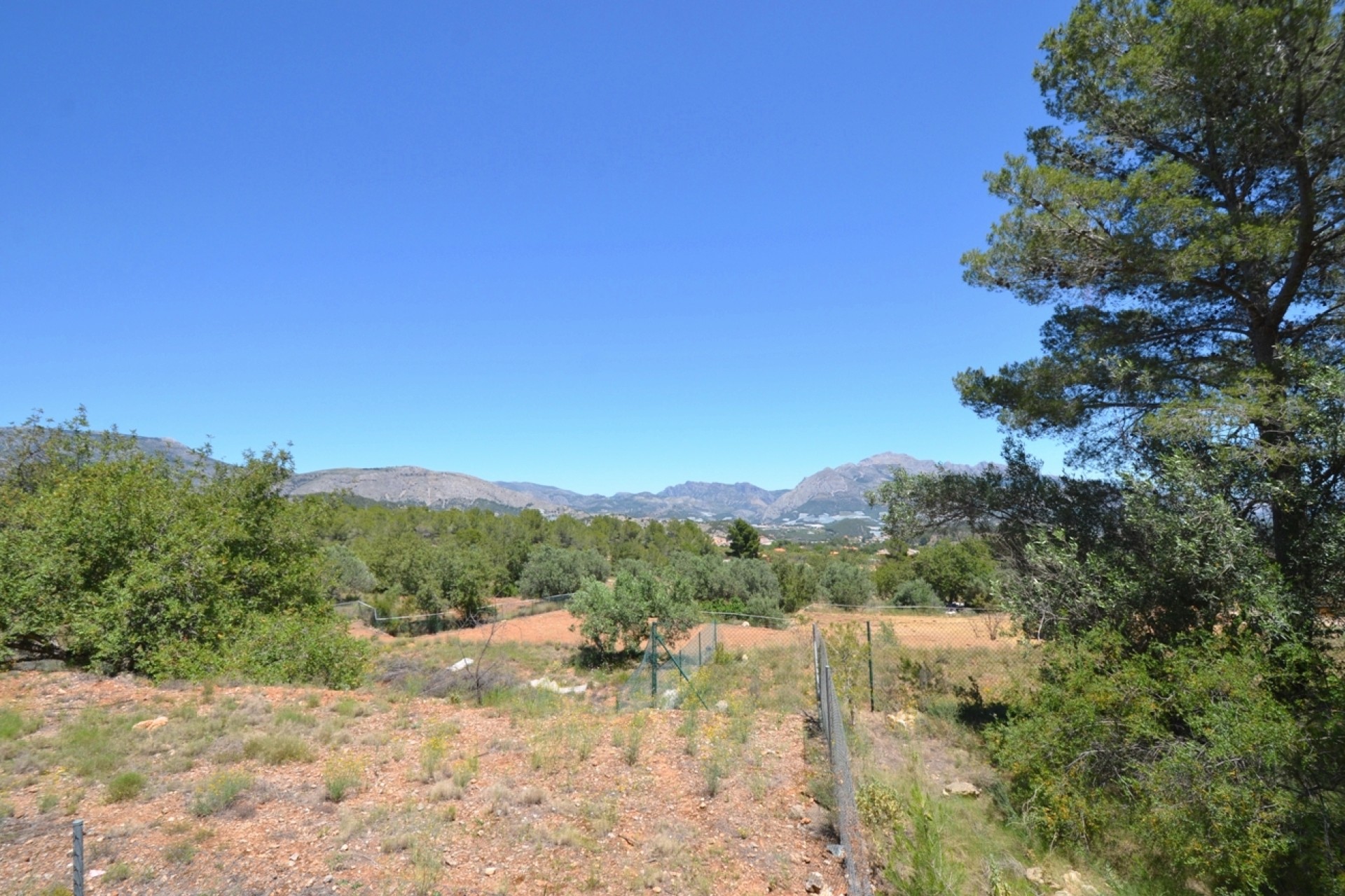 Reventa - Finca - Polop