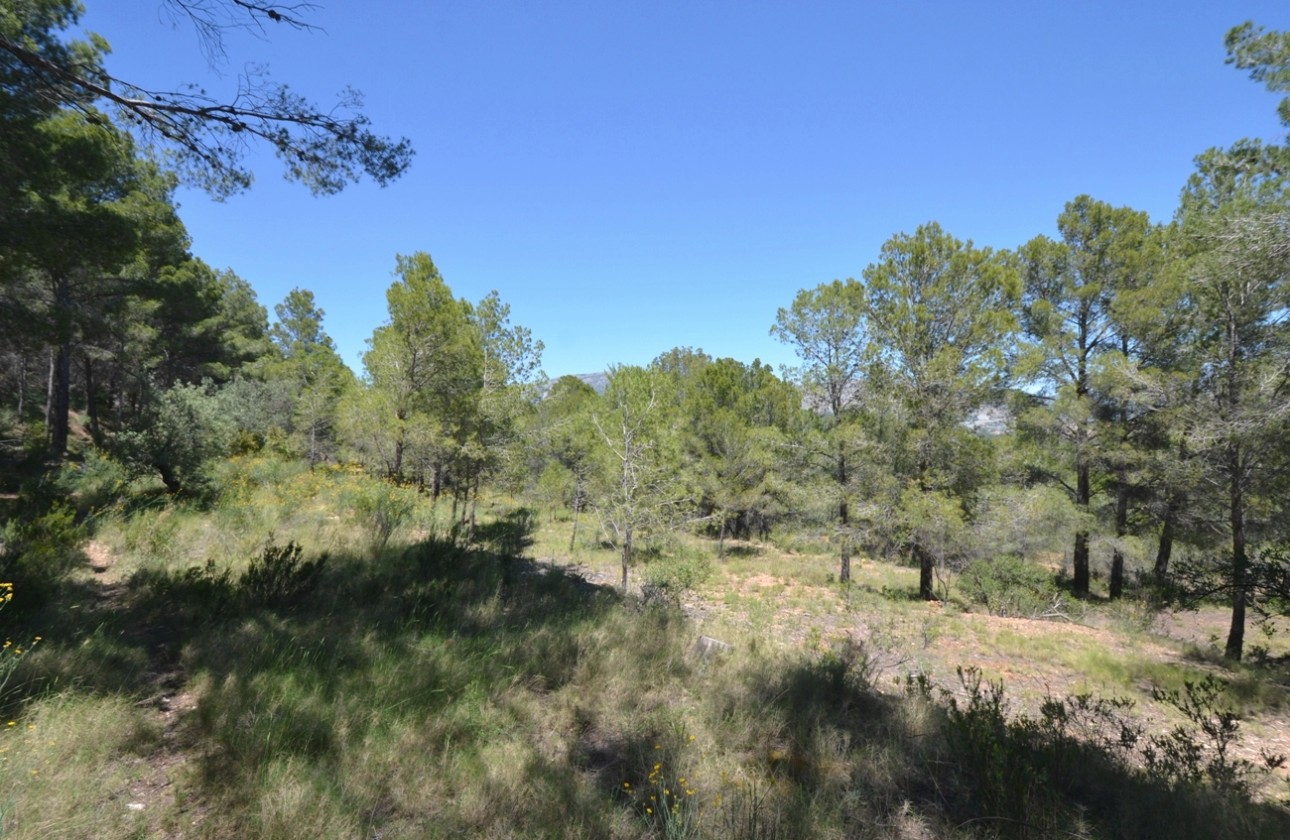 Reventa - Finca - Polop