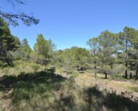 Reventa - Finca - Polop
