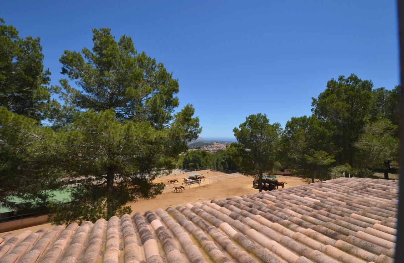 Reventa - Finca - Polop