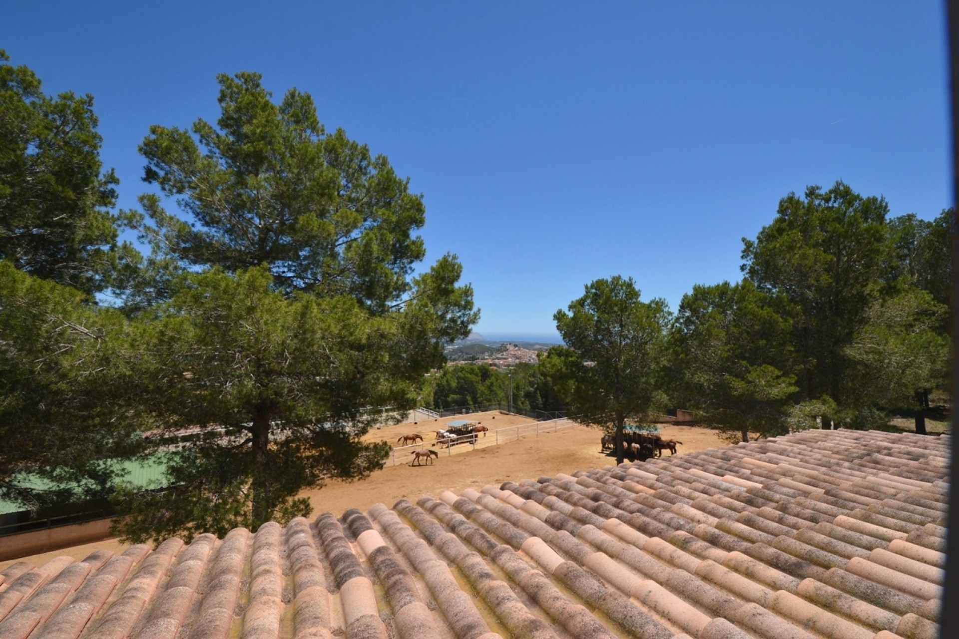 Reventa - Finca - Polop