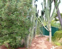 Reventa - Villa - Altea