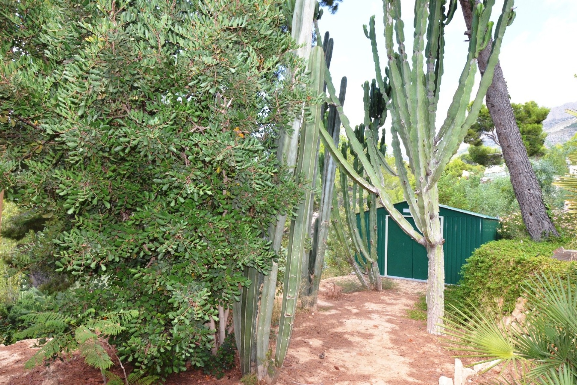 Reventa - Villa - Altea