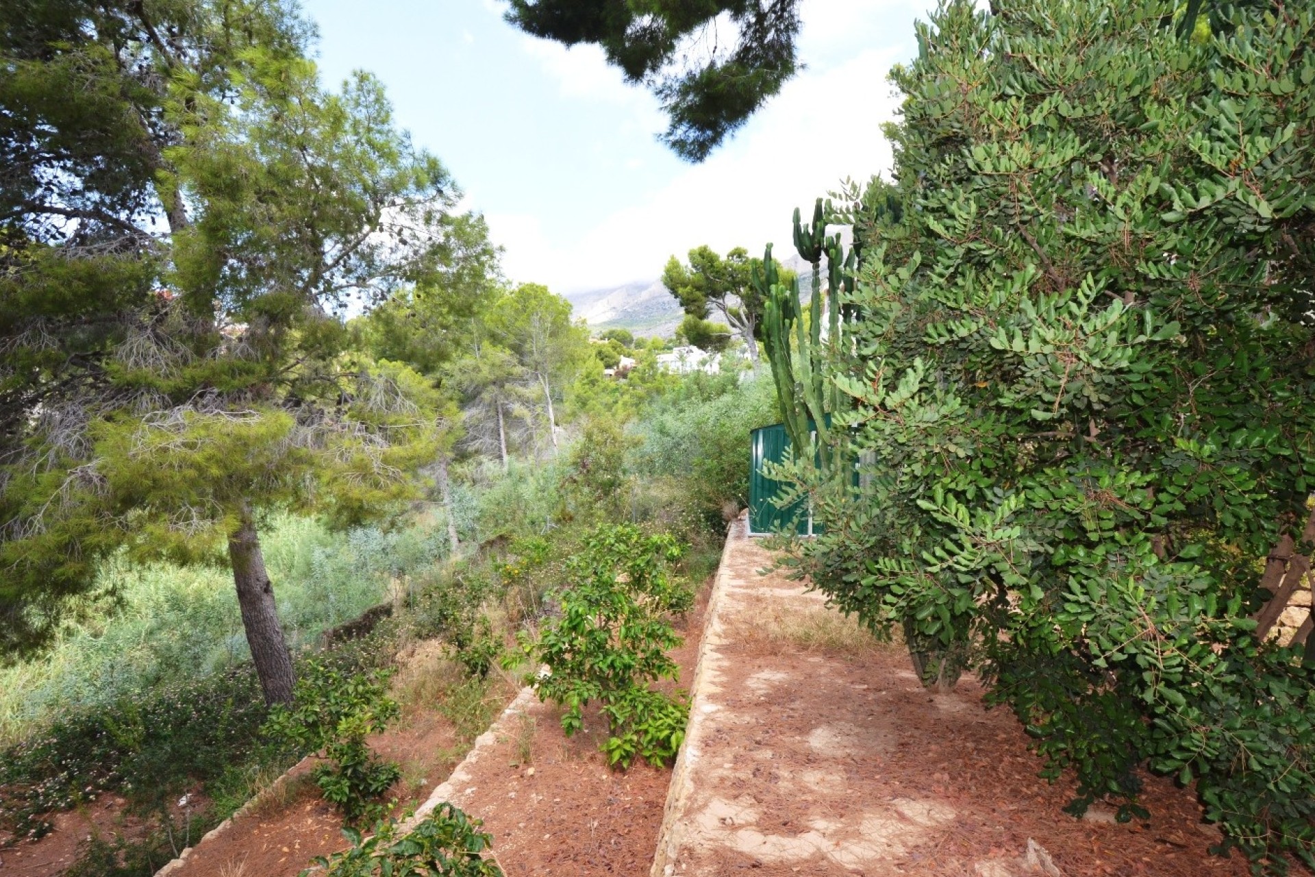 Reventa - Villa - Altea