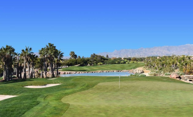 Obra nueva - Villa - Cuevas del Almanzora - Villaricos