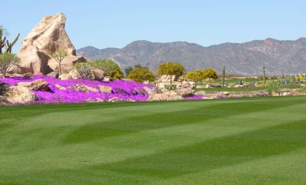 New Build - Villa - Cuevas del Almanzora - Villaricos