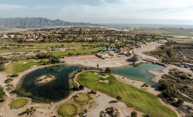 New Build - Apartment / flat - Cuevas del Almanzora - Villaricos