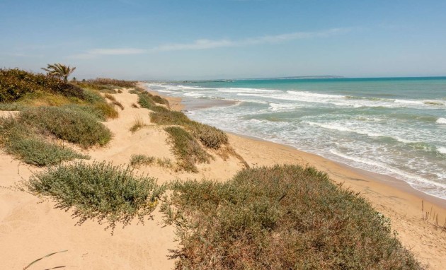 Herverkoop - Appartement / flat - Guardamar del Segura