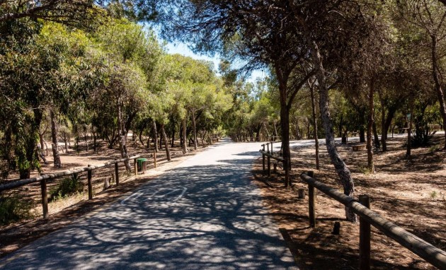 Resale - Apartment / flat - Guardamar del Segura