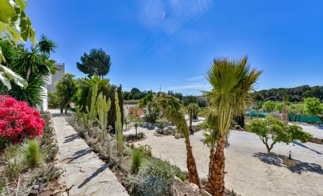 Reventa - Villa - Altea