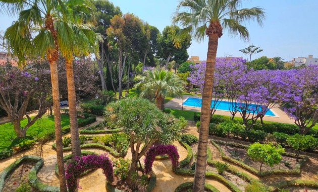 Resale - Apartment / flat - San Juan de Alicante