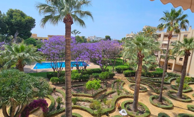 Resale - Apartment / flat - San Juan de Alicante