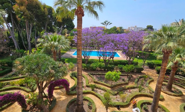 Resale - Apartment / flat - San Juan de Alicante