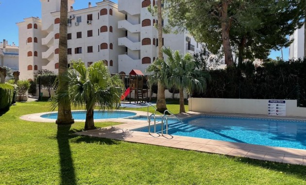 Reventa - Apartamento / piso - Albir