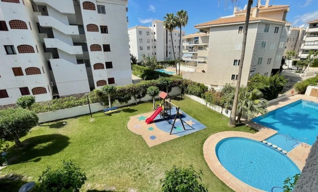 Reventa - Apartamento / piso - Albir