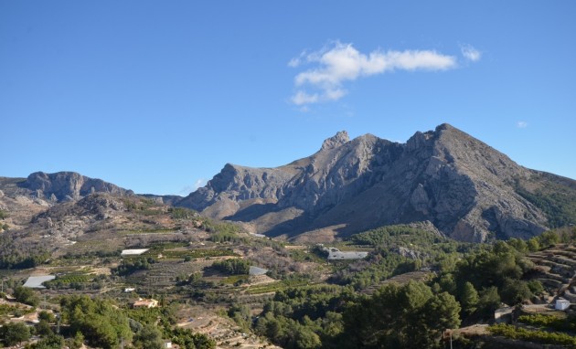 Resale - Finca - Bolulla