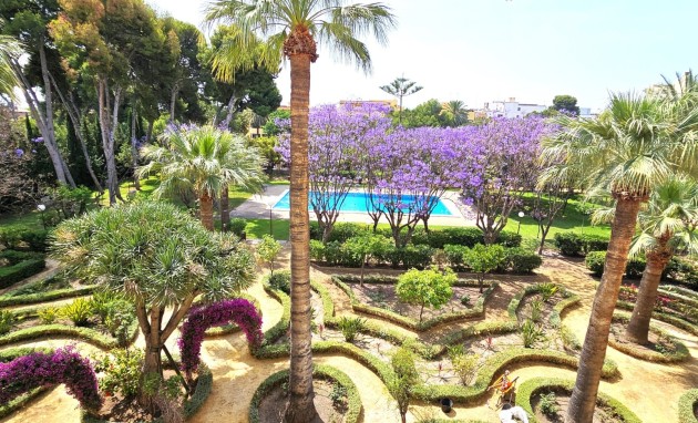 Resale - Apartment / flat - San Juan de Alicante