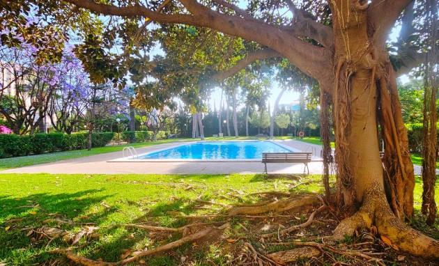Resale - Apartment / flat - San Juan de Alicante