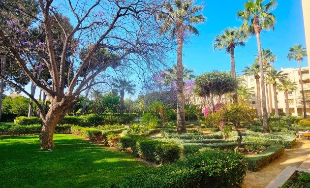 Resale - Apartment / flat - San Juan de Alicante